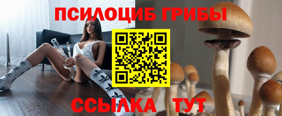 Псилоцибиновые грибы Cubensis Кашира