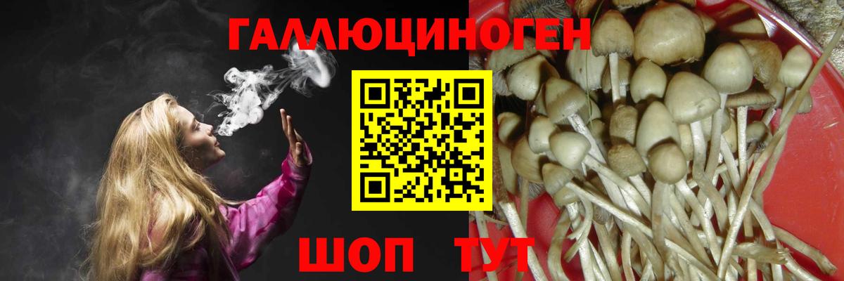 Псилоцибиновые грибы ЛСД  Вход с VPN  Кашира  Галлюциногенные грибы GOLDEN TEACHER 